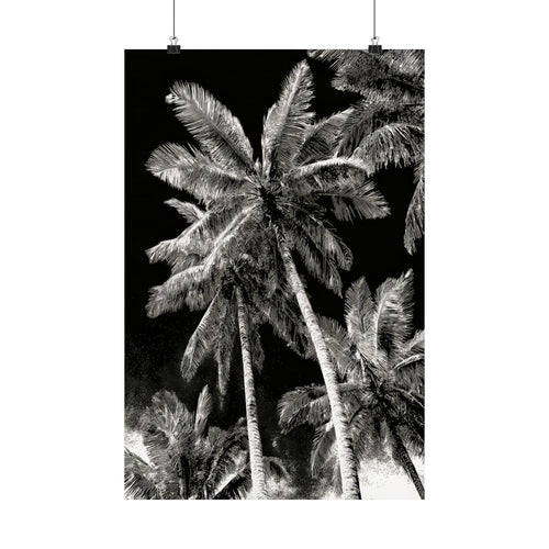 GG1200 - Black White Palm Tree Digital Art Print Modern Botanical Wall Art