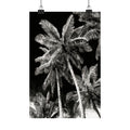 GG1200 - Black White Palm Tree Digital Art Print Modern Botanical Wall Art