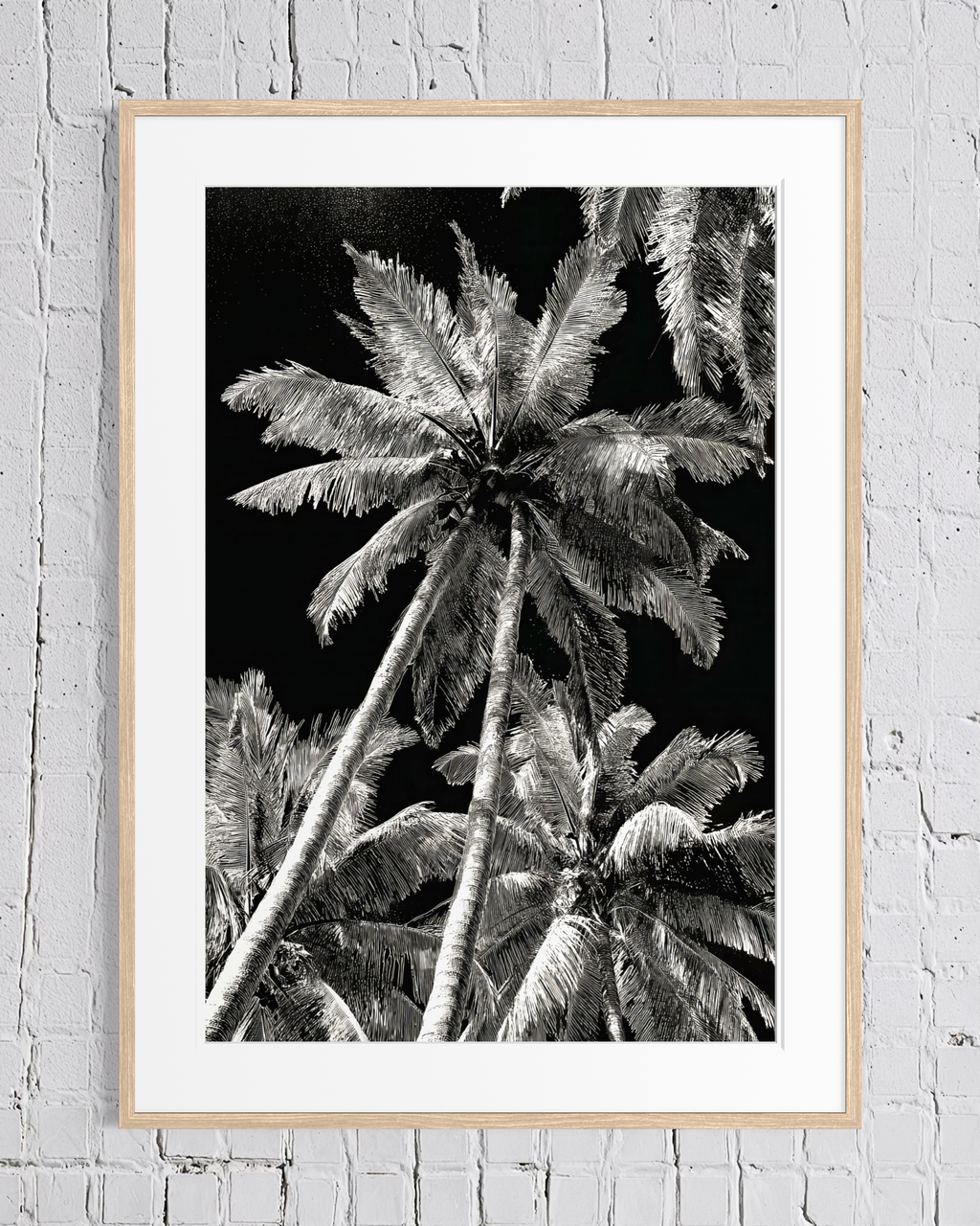 GG1202 - Tropical Palm Tree Black White Digital Fine Art Wall Print