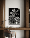 GG1203 - Palm Tree Black White Digital Art Modern Botanical Wall Print