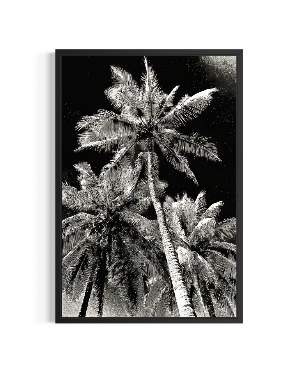 GG1203 - Palm Tree Black White Digital Art Modern Botanical Wall Print