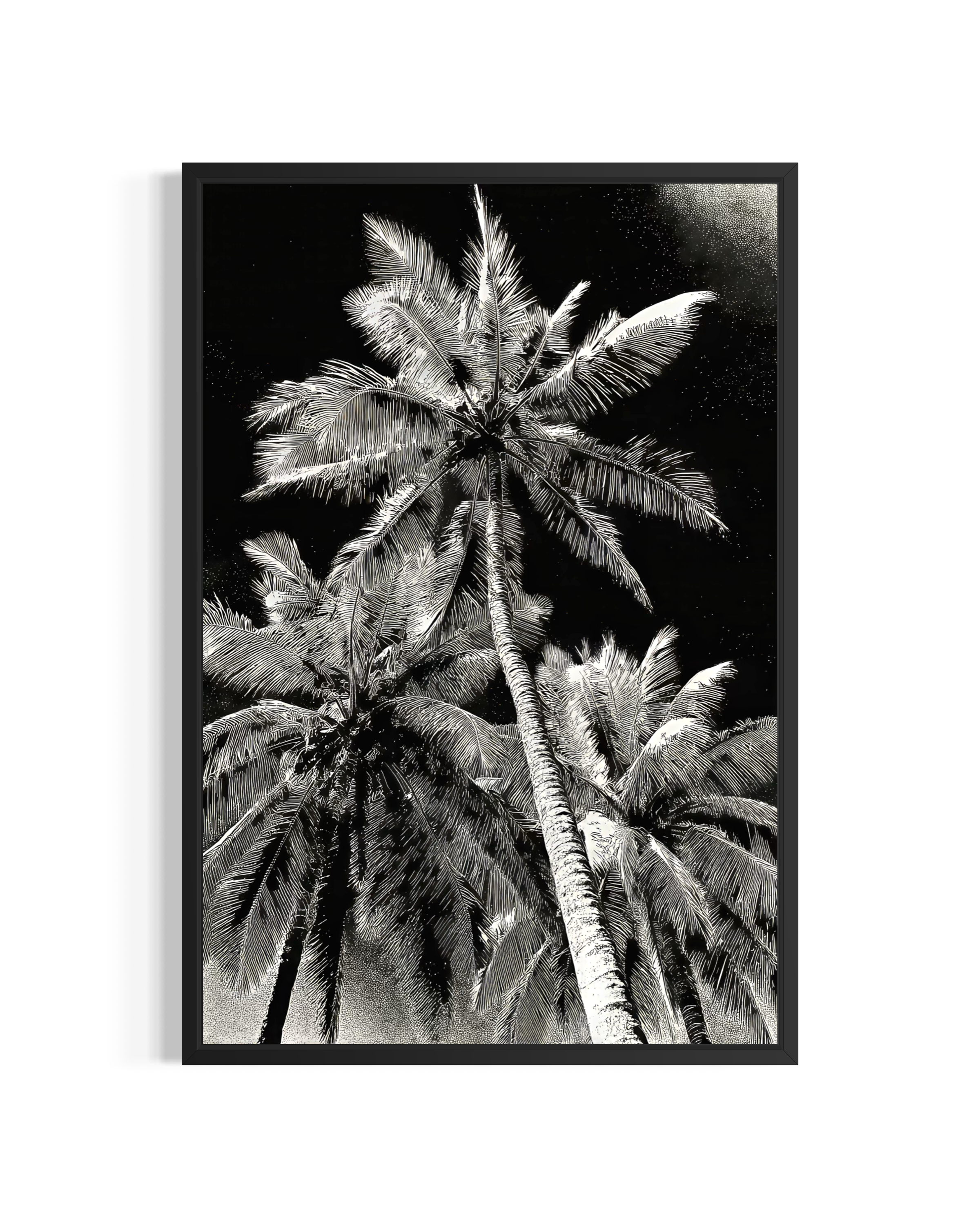 GG1203 - Palm Tree Black White Digital Art Modern Botanical Wall Print